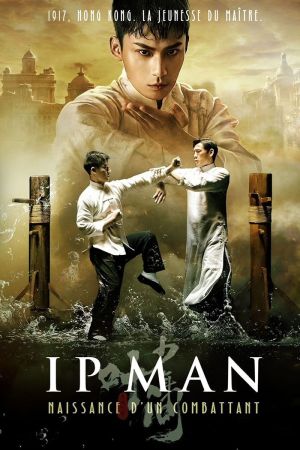 Ip Man : Naissance d'un combattant streaming