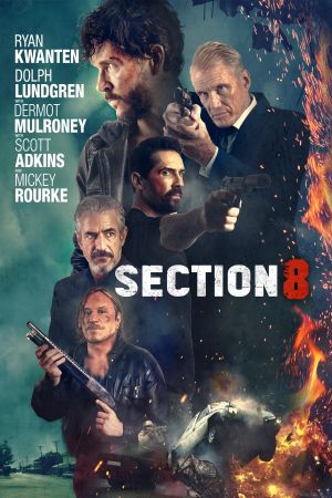 Section 8 streaming
