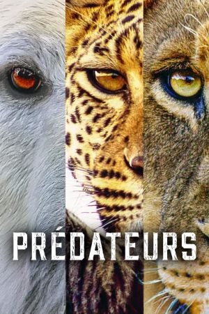 Prédateurs streaming