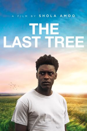 The Last Tree streaming