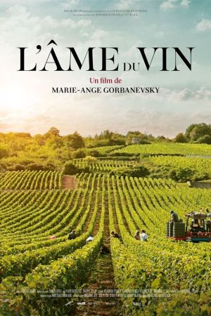 L'âme du vin streaming