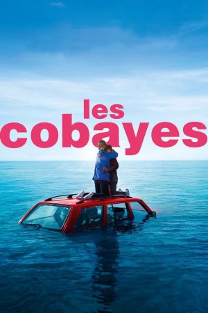 Les Cobayes streaming
