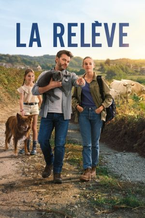 Les vétos streaming