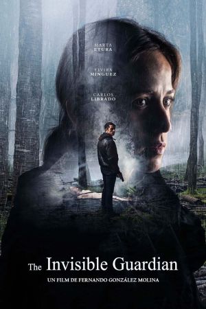 Le Gardien invisible streaming