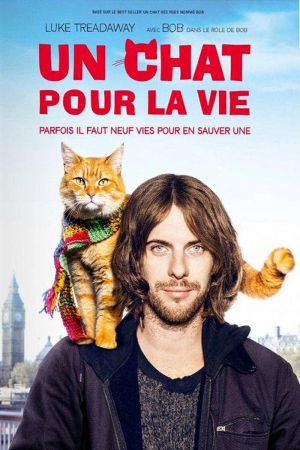 Un chat pour la vie streaming