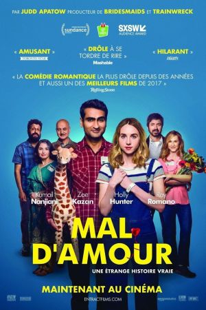 The Big Sick streaming