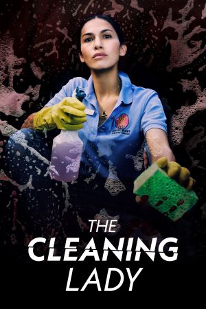 The Cleaning Lady streaming