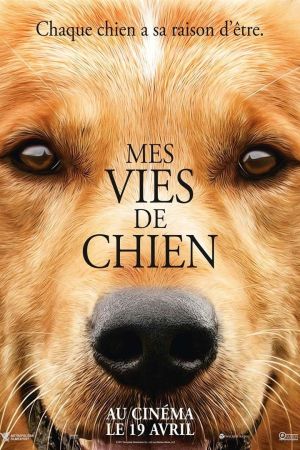 Mes vies de chien streaming