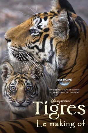 Tigres : Le Making of streaming