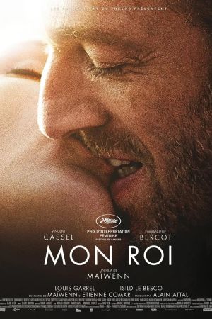 Mon roi streaming