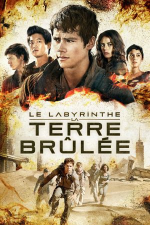 Le Labyrinthe : La Terre brûlée streaming