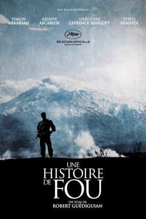 Une histoire de fou streaming