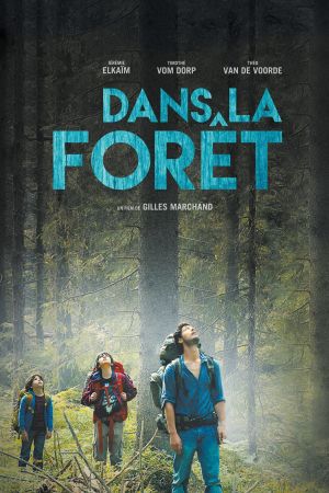 Dans la forêt streaming