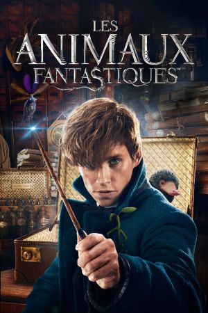 Les Animaux Fantastiques streaming