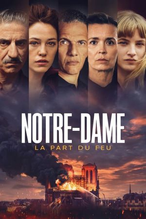 Notre-Dame, la part du feu streaming