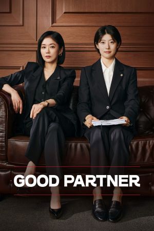 Good Partner streaming