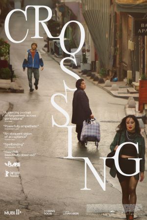Crossing Istanbul streaming