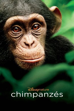 Chimpanzés streaming
