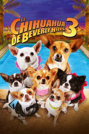 Le Chihuahua de Beverly Hills 3 : Viva la Fiesta ! streaming