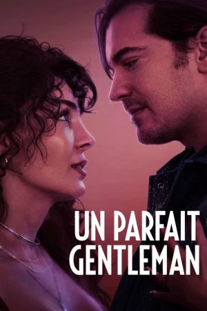 Un parfait gentleman streaming