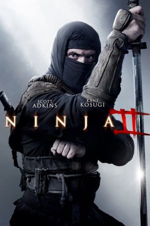 Ninja 2 : Shadow of a Tear streaming