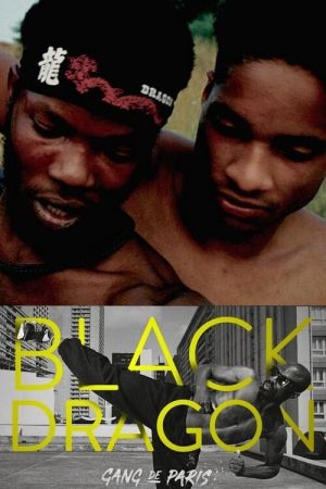 Gang de Paris : Black Dragon streaming