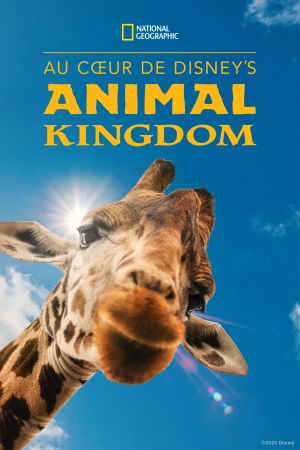 Au cœur de Disney's Animal Kingdom streaming