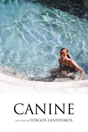 Canine streaming