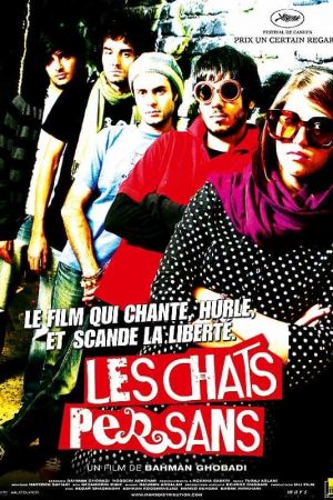 Les Chats persans streaming
