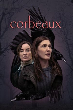 Corbeaux streaming