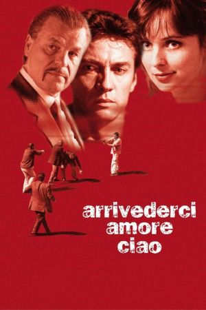 Arrivederci amore, ciao streaming