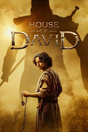 La Maison de David streaming