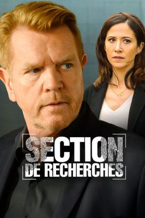 Section de recherches streaming