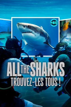 All the Sharks : Trouvez-les tous ! streaming