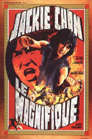 Le Magnifique streaming